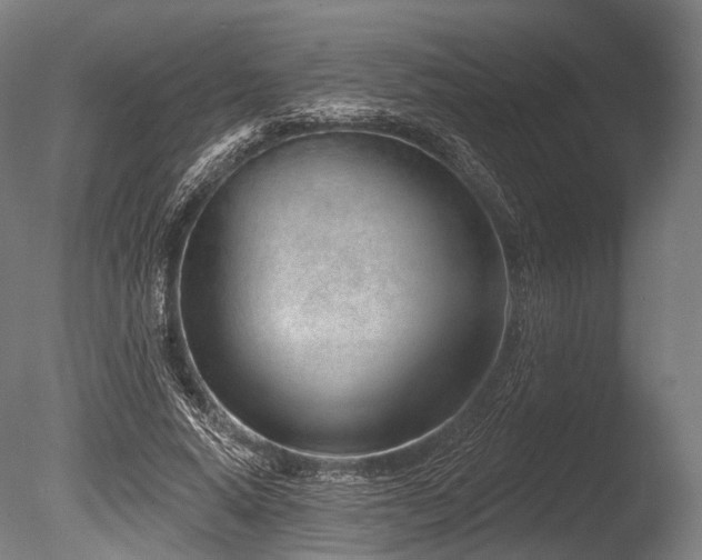 X0000086100640200703231436