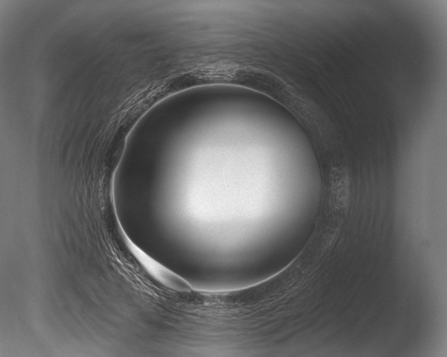 X0000086100641200703231436