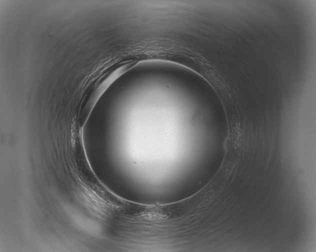X0000086100644200703231436