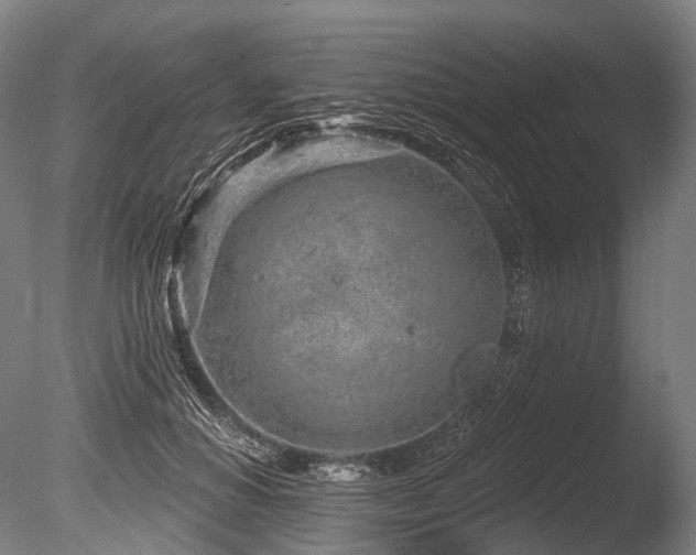 X0000086100654200703231436