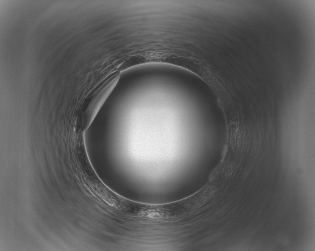 X0000086100655200703231436