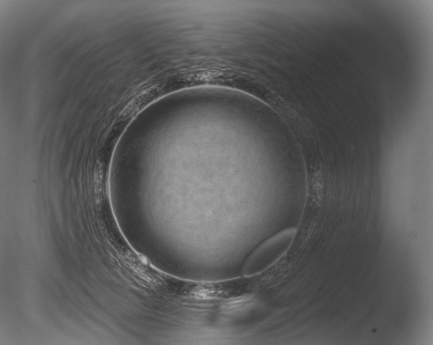 X0000086100657200703231436