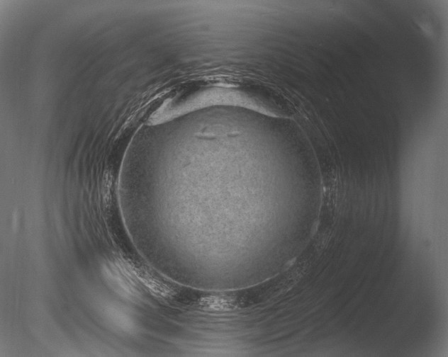 X0000086100660200703231436