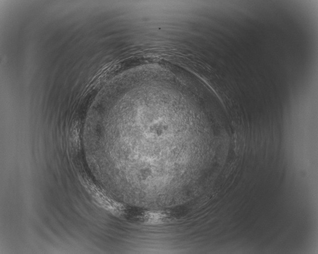 X0000086100662200703231436