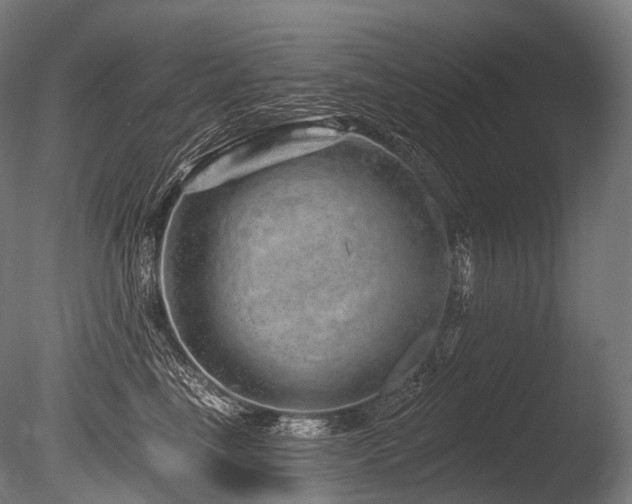 X0000086100665200703231436