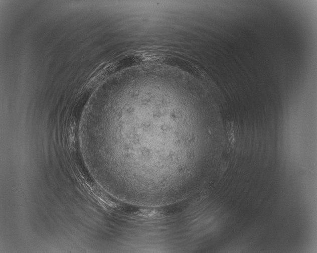 X0000086100667200703231436