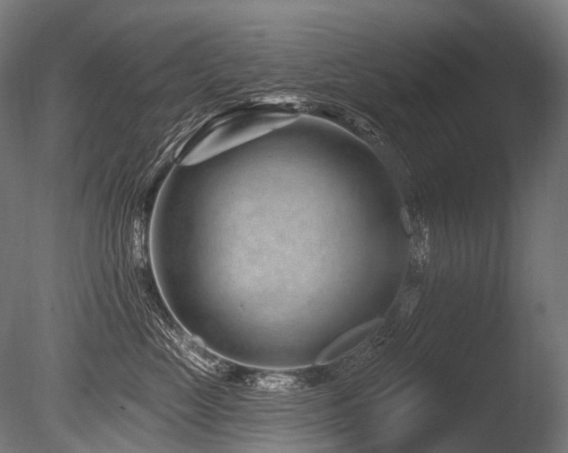 X0000086100669200703231436