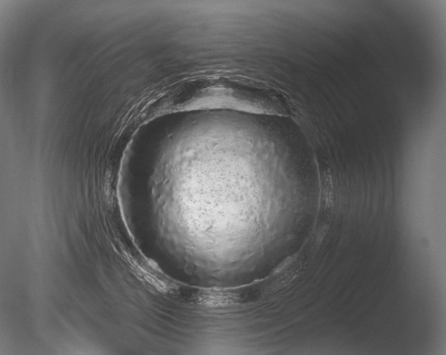 X0000086100670200703231436