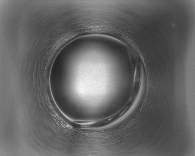 X0000086100673200703231435