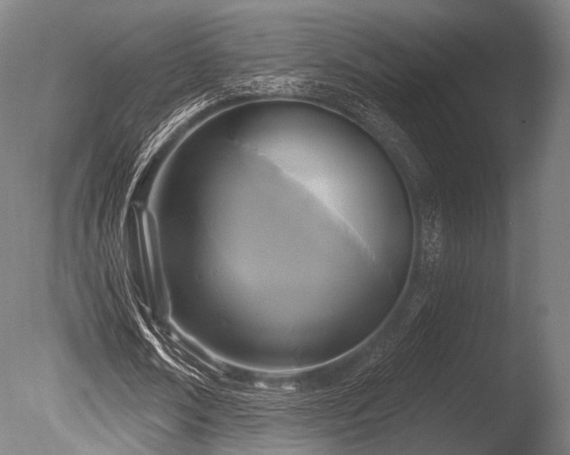 X0000086100674200703231435