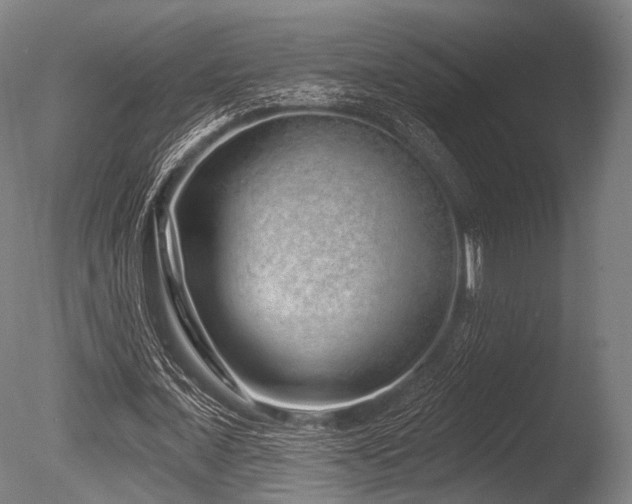 X0000086100675200703231435