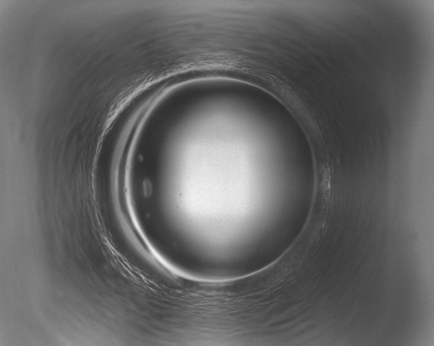 X0000086100676200703231435