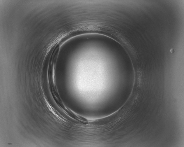 X0000086100677200703231435