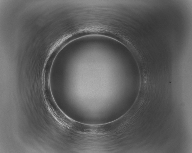 X0000086100678200703231435