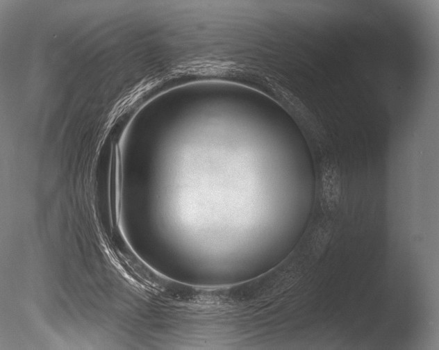 X0000086100682200703231435