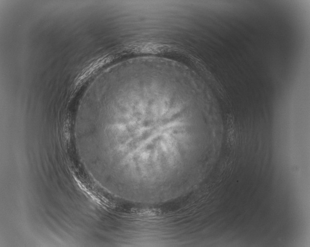 X0000086100683200703231435