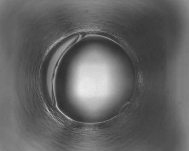 X0000086100684200703231435