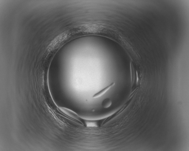 X0000086100685200703231435