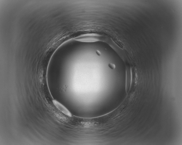 X0000086100693200703231435