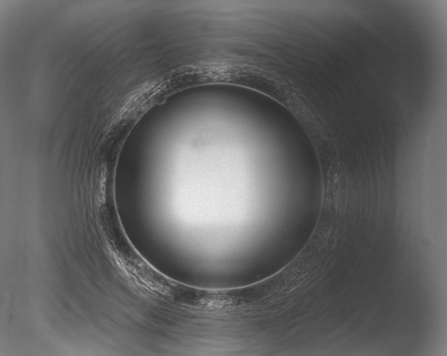X0000086100694200703231435