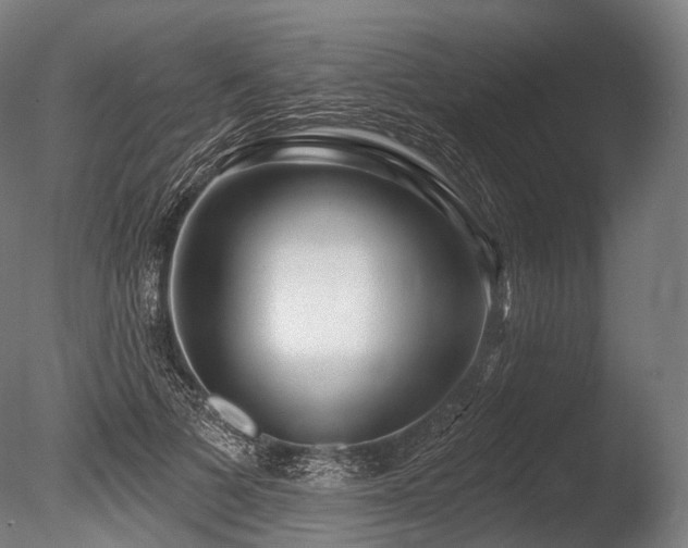 X0000086100697200703231435