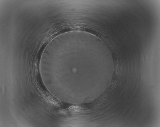 X0000086100699200703231435