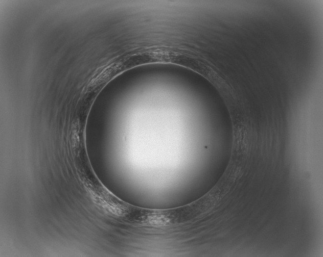 X0000086100702200703231435