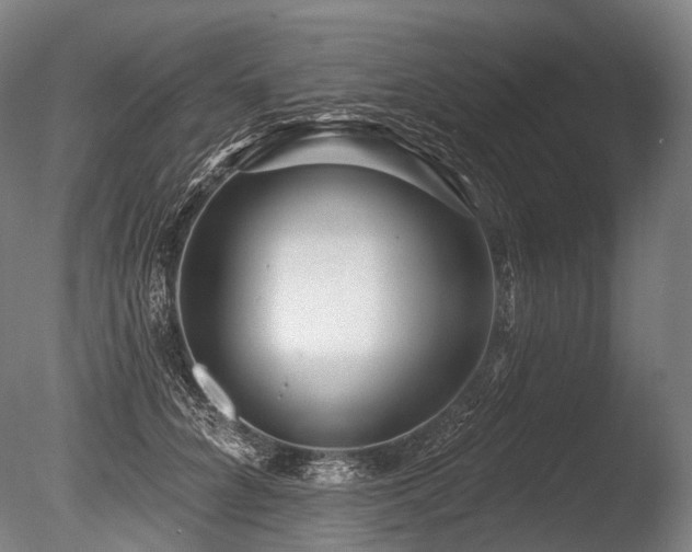 X0000086100704200703231435