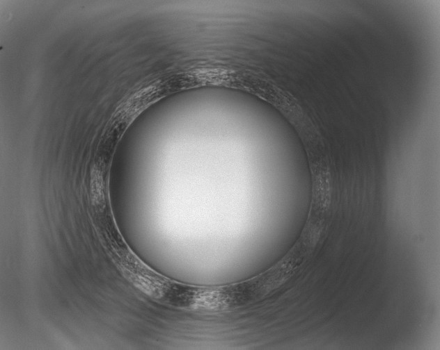 X0000086100705200703231435