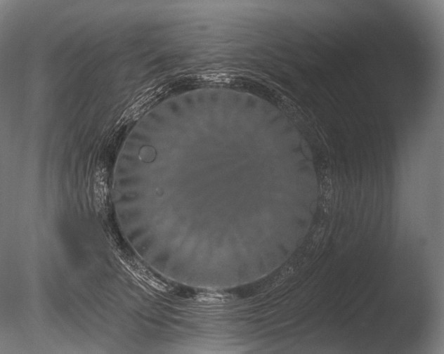 X0000086100707200703231435