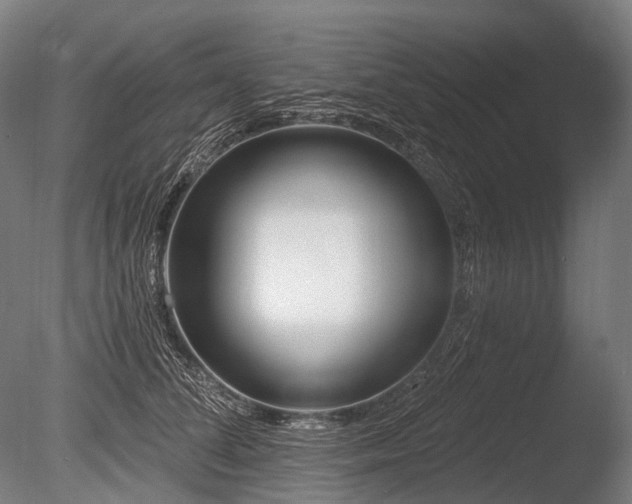 X0000086100708200703231435