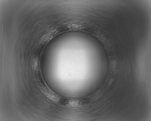 X0000086100709200703231435