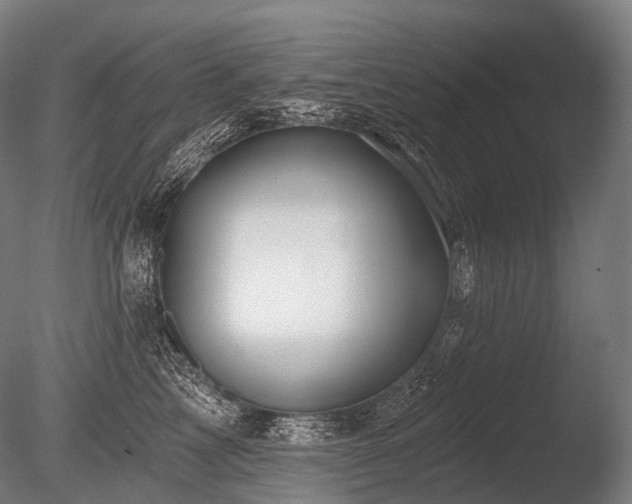 X0000086100713200703231435