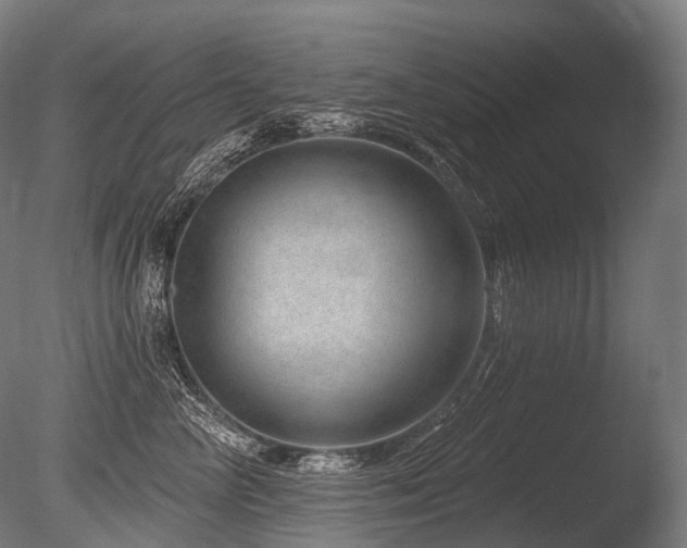 X0000086100714200703231435