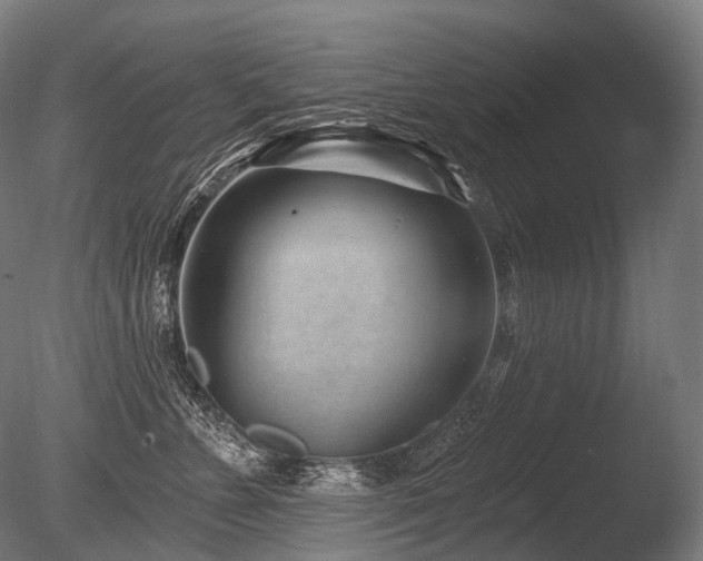 X0000086100715200703231435