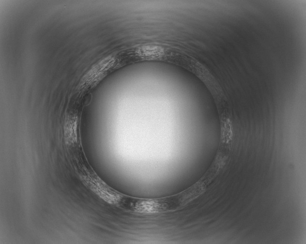 X0000086100717200703231435