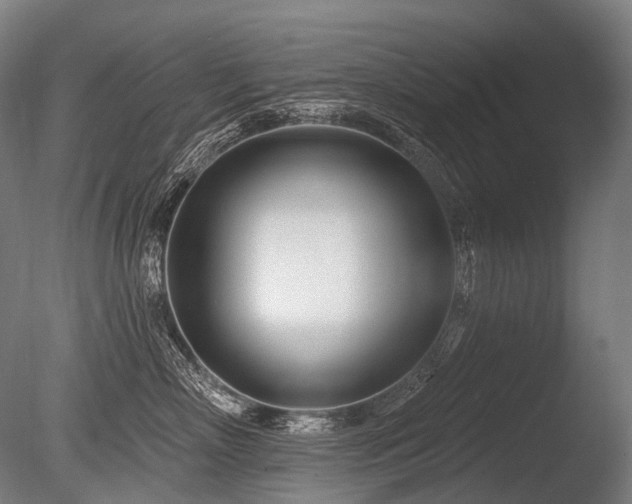 X0000086100718200703231435