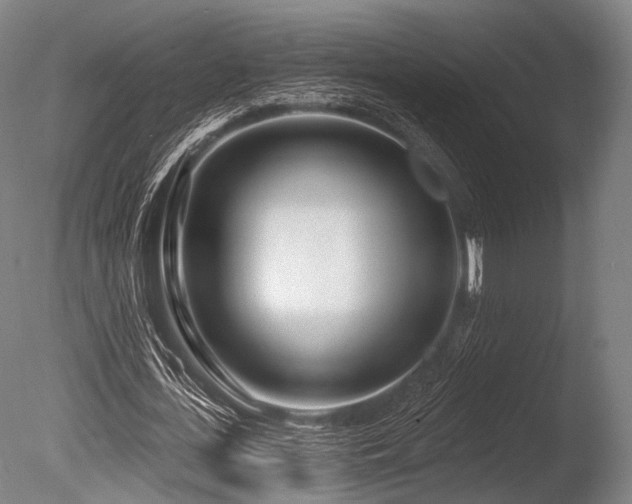 X0000086100723200703231434