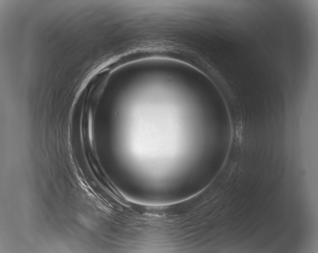 X0000086100724200703231434