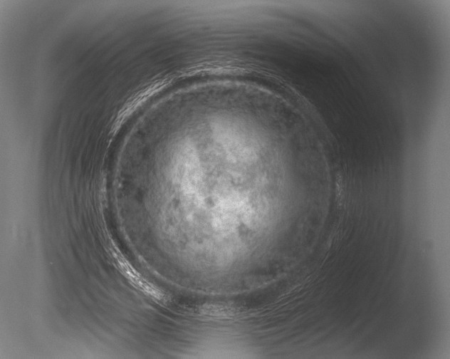 X0000086100725200703231434