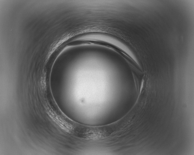 X0000086100727200703231434
