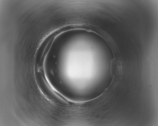 X0000086100728200703231434