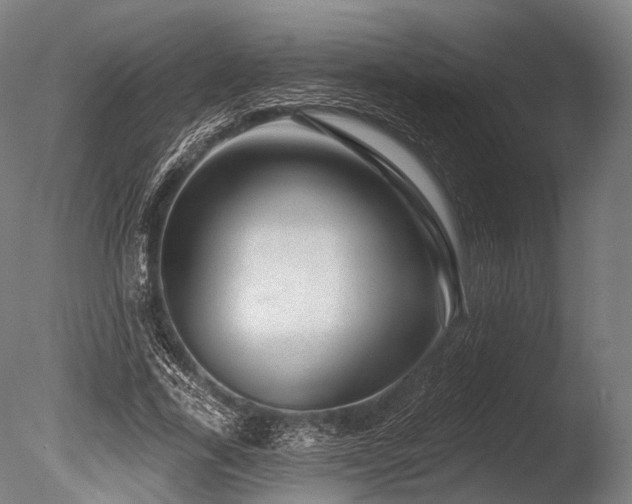 X0000086100731200703231434
