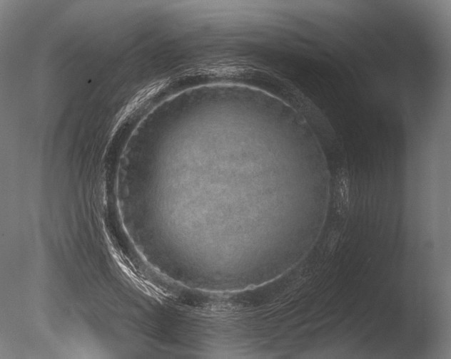 X0000086100734200703231434