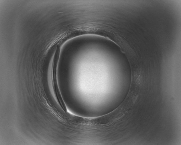 X0000086100735200703231434