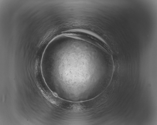X0000086100742200703231434