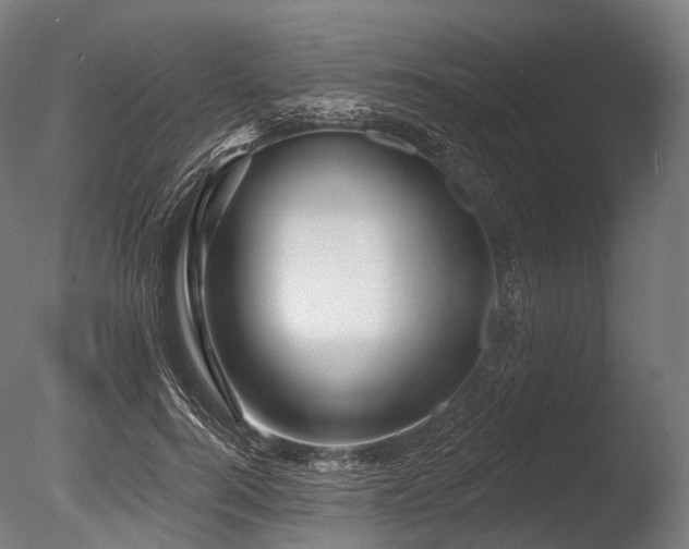 X0000086100744200703231434