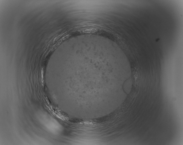 X0000086100745200703231434