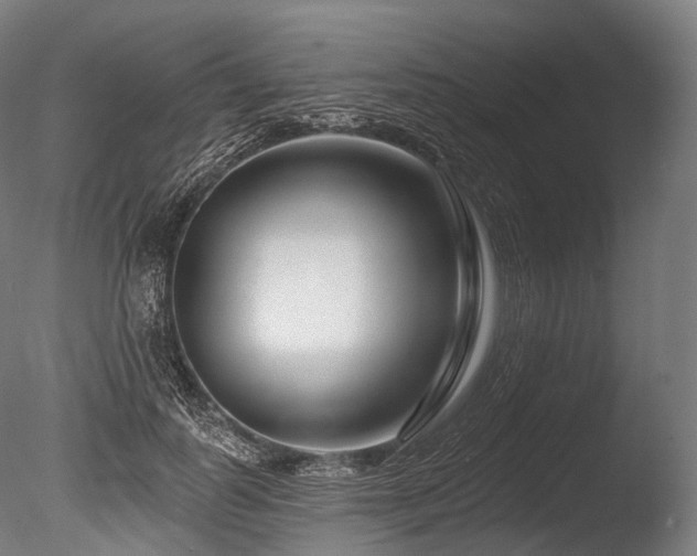 X0000086100747200703231434