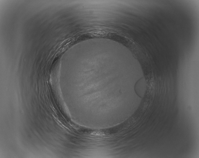 X0000086100749200703231434
